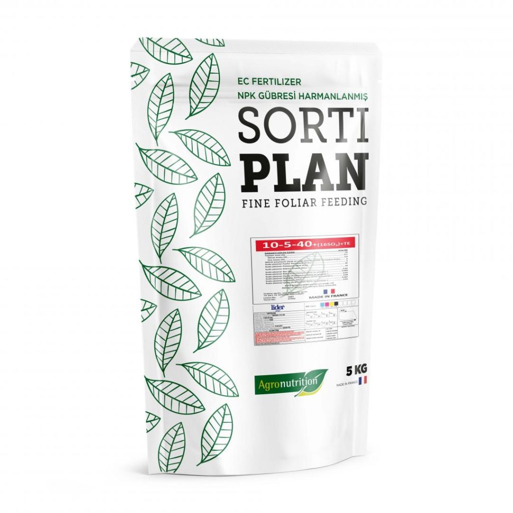 SORTI PLAN 10-5-40+ (16SO3)+TE