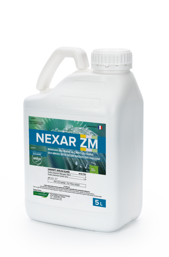 NEXAR ZM