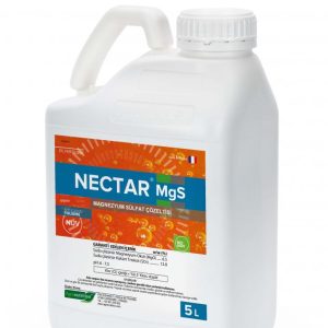 NECTAR MgS