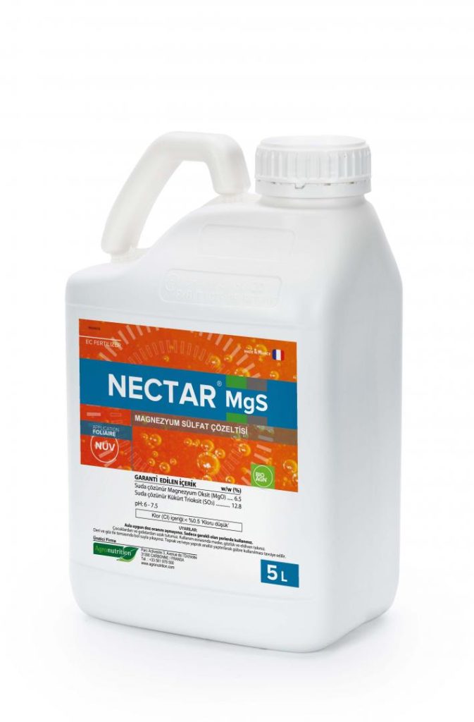 NECTAR MgS