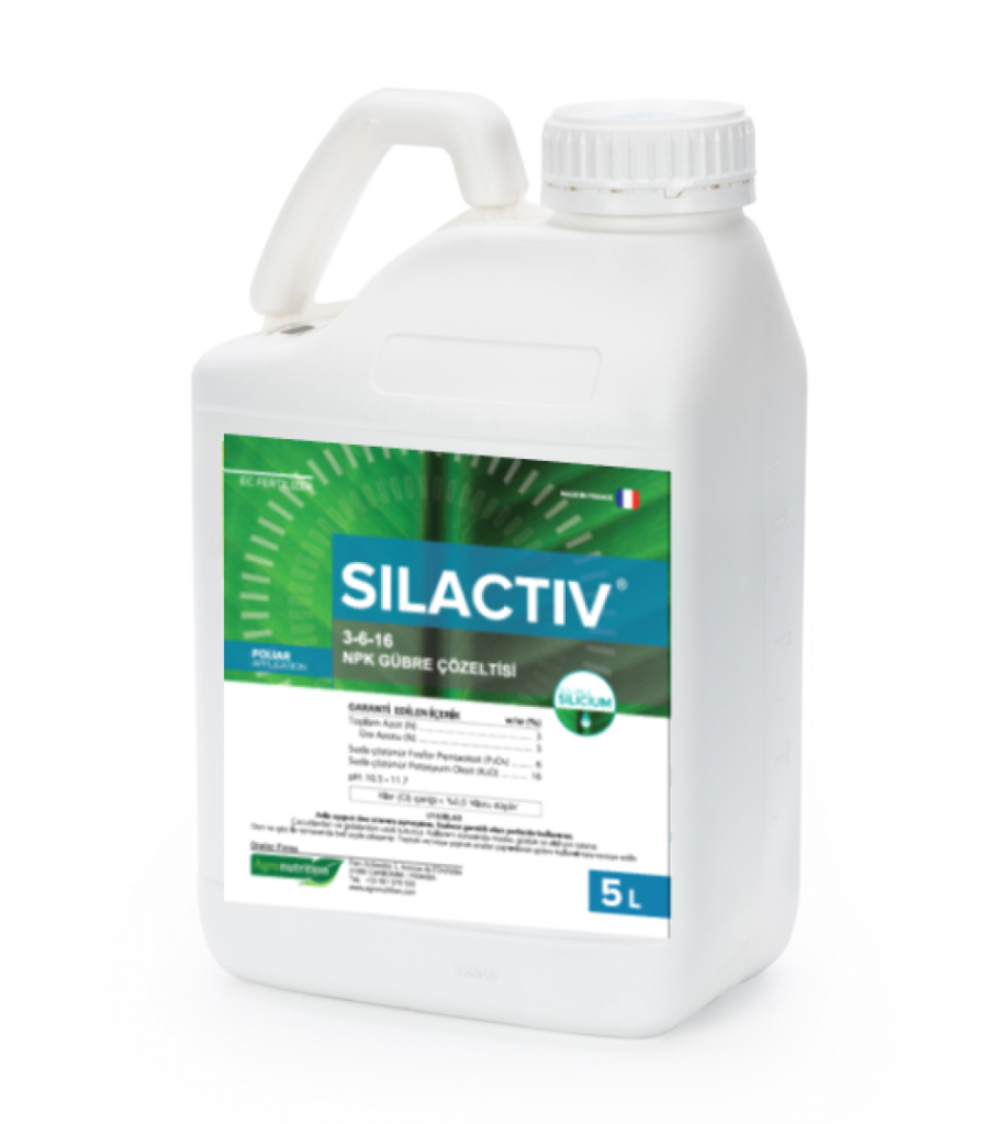 SILACTIV 3-6-16