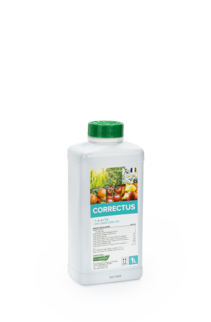 CORRECTUS 7-4-4+TE