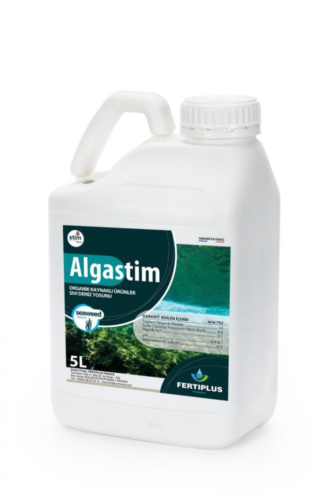 ALGASTİM