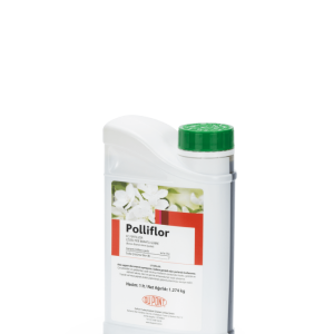 POLLIFLOR