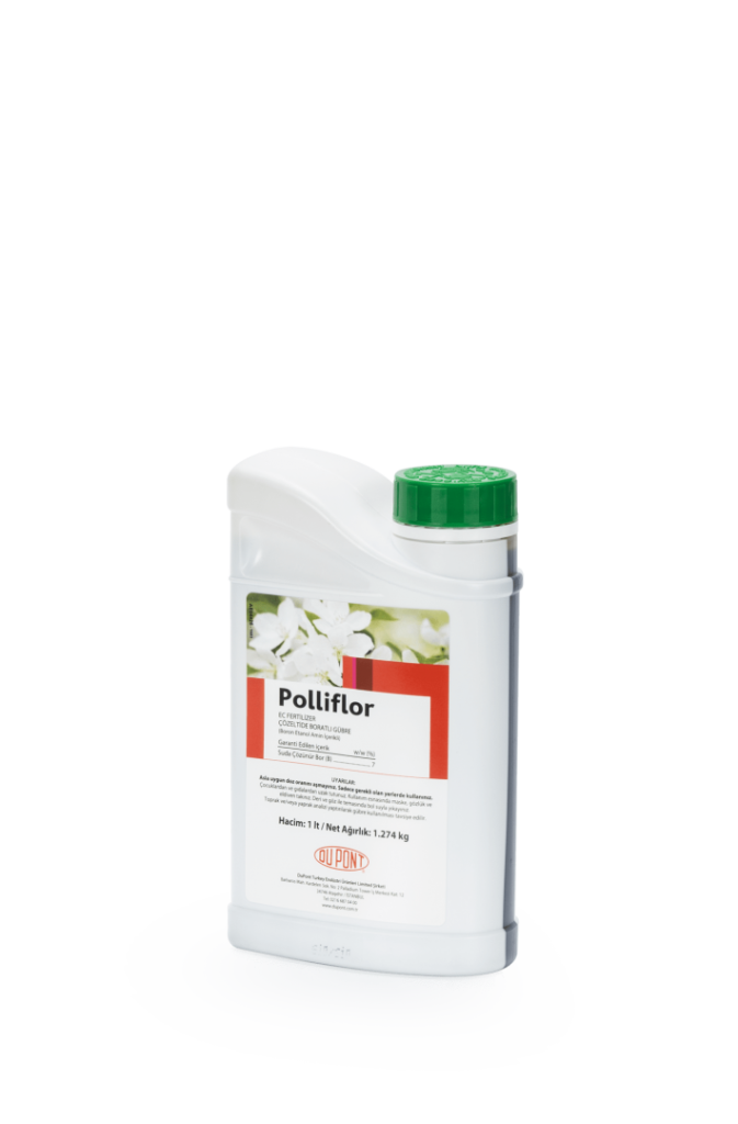 POLLIFLOR
